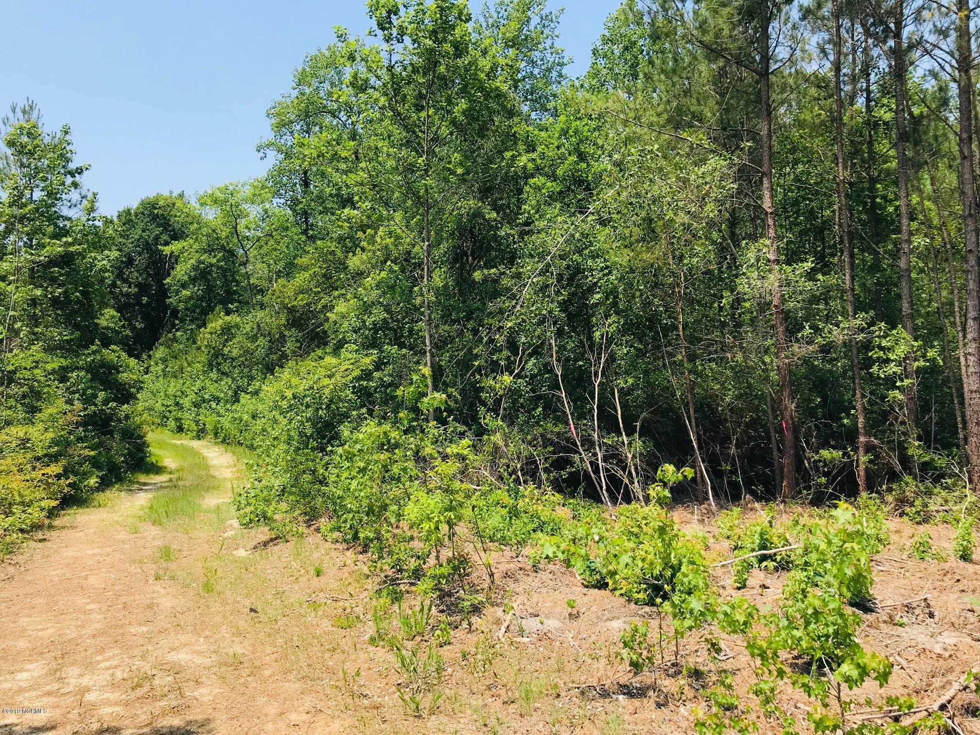 0 Hobbs Road Roseboro, NC 28382 - Photo 23 of 27 IMG_5874