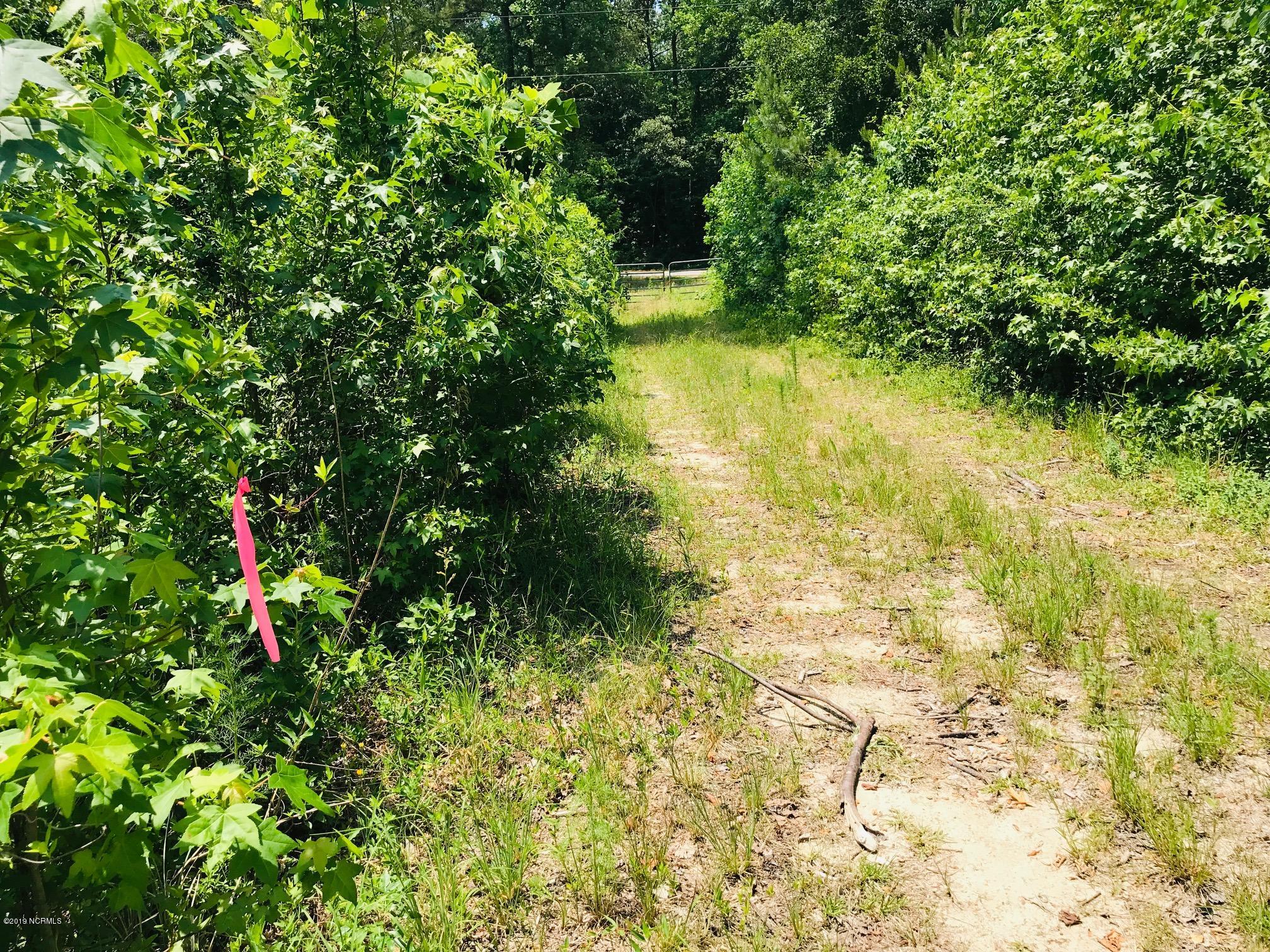 0 Hobbs Road Roseboro, NC 28382 - Photo 25 of 27 IMG_5884