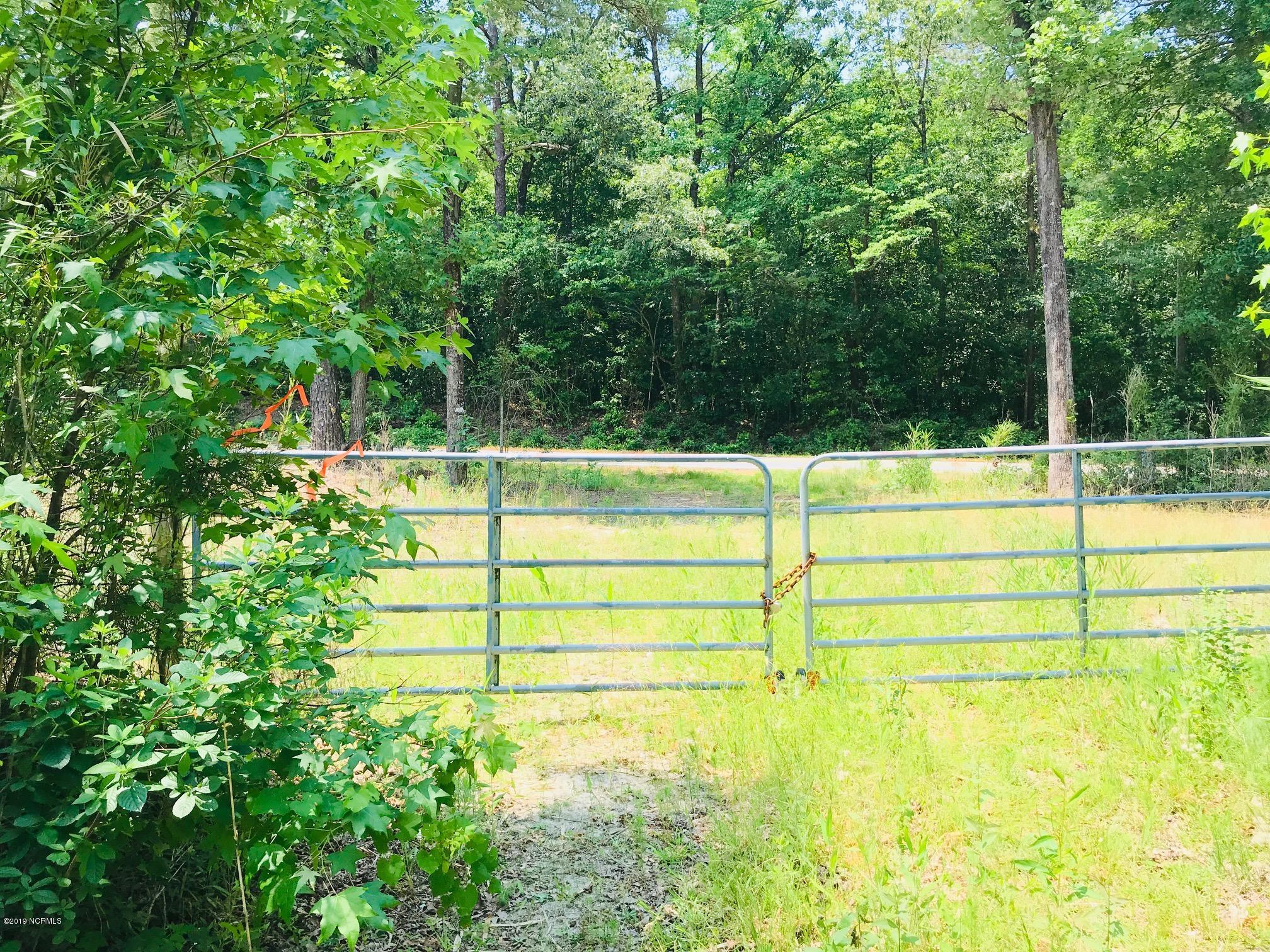 0 Hobbs Road Roseboro, NC 28382 - Photo 26 of 27 IMG_5886