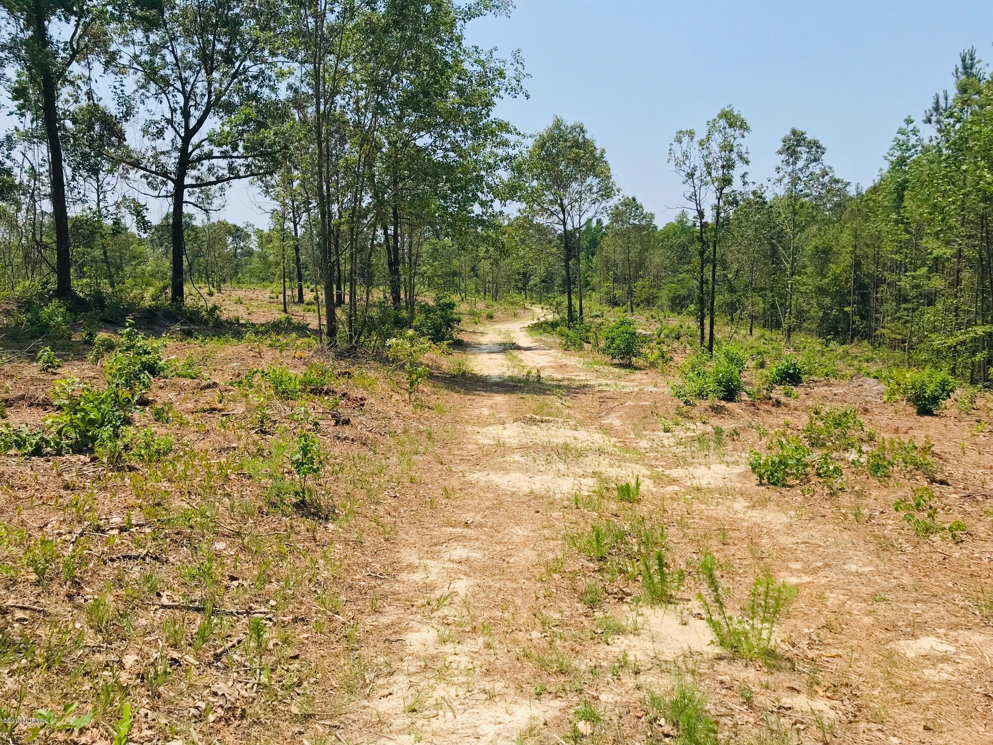 0 Hobbs Road Roseboro, NC 28382 - Photo 10 of 27 IMG_5851