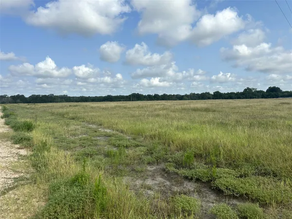 a view of a lake from a yard