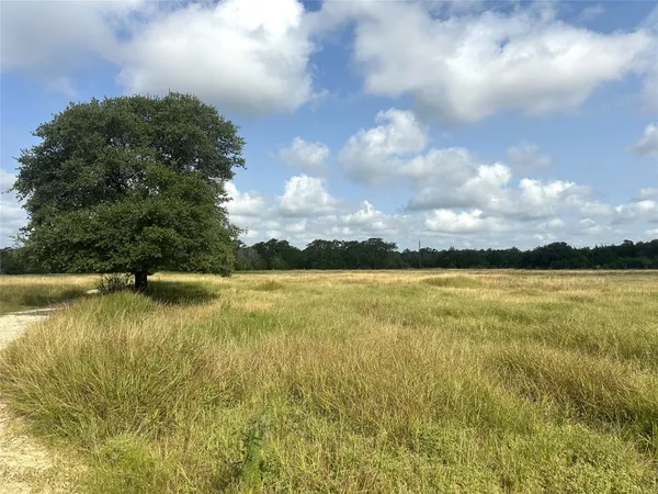 a view of yard with swimming pool and trees in the background