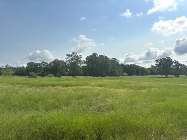 a view of a green field