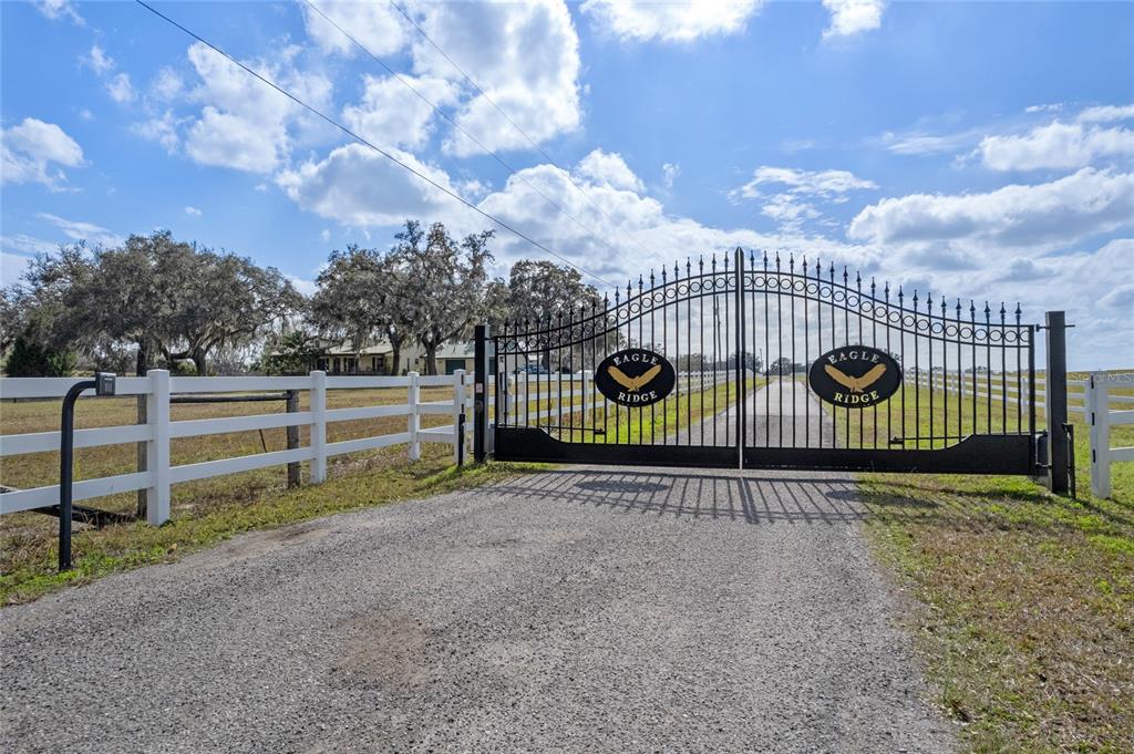 a view of a street with brick wall in front of it