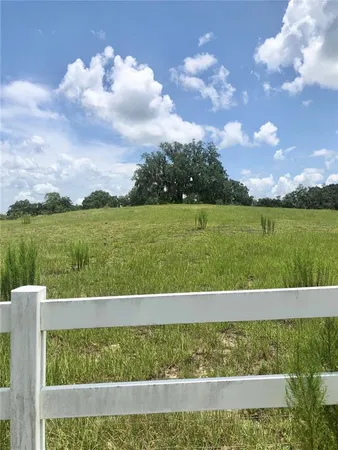 a view of a big yard with lots of green space