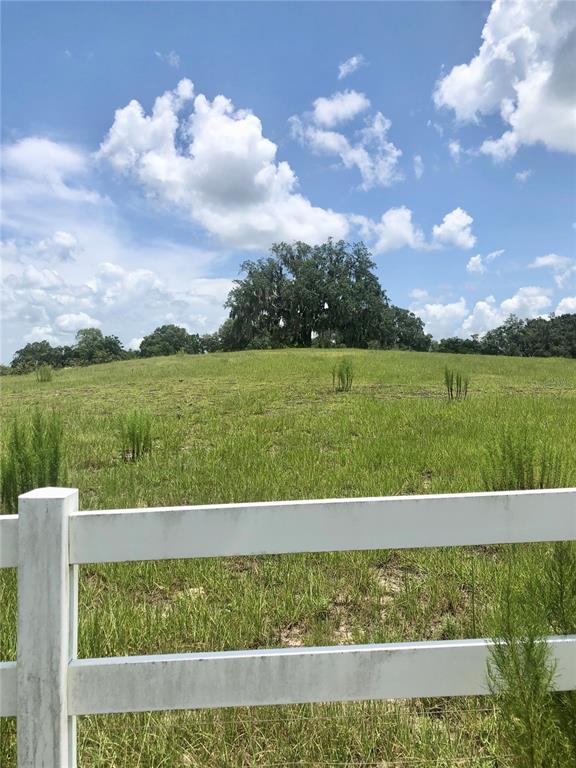 14 Eagle Ridge Bushnell, FL 33513 - Photo 15 of 19 a view of a yard with a house