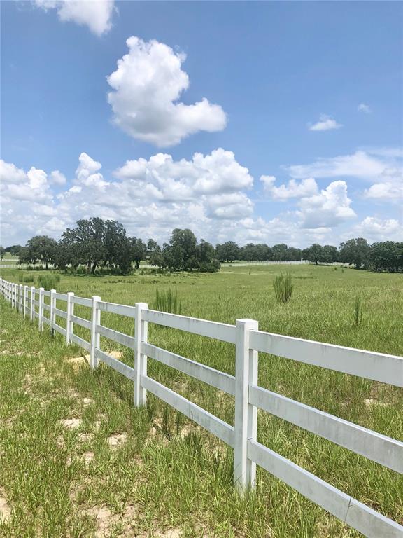 14 Eagle Ridge Bushnell, FL 33513 - Photo 19 of 19 a view of a lake with a big yard