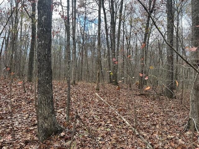 12 Prater Road Pikeville, TN 37367 - Photo 5 of 19 Gallery Image 5