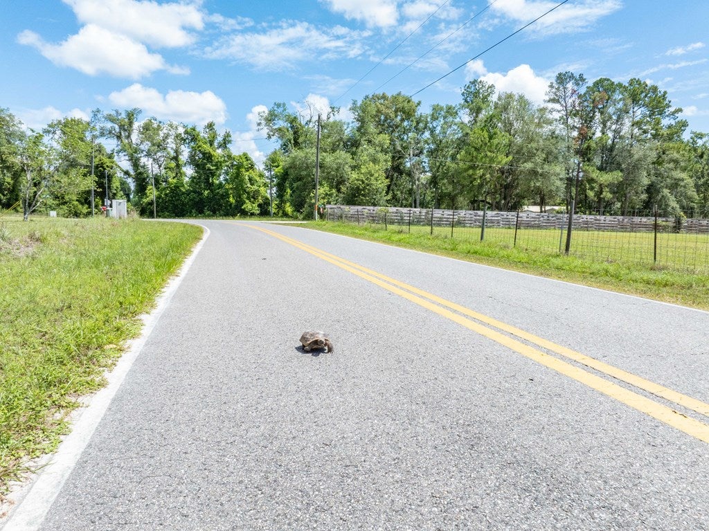 13242 97th Road Live Oak, FL 32060 - Photo 56 of 67 Gallery Image 56