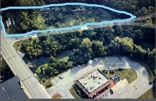 a view of a backyard with plants and a patio