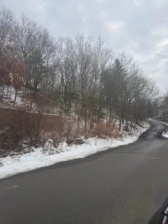 a view of a road with a yard of the house