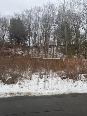 a view of a yard with a tree