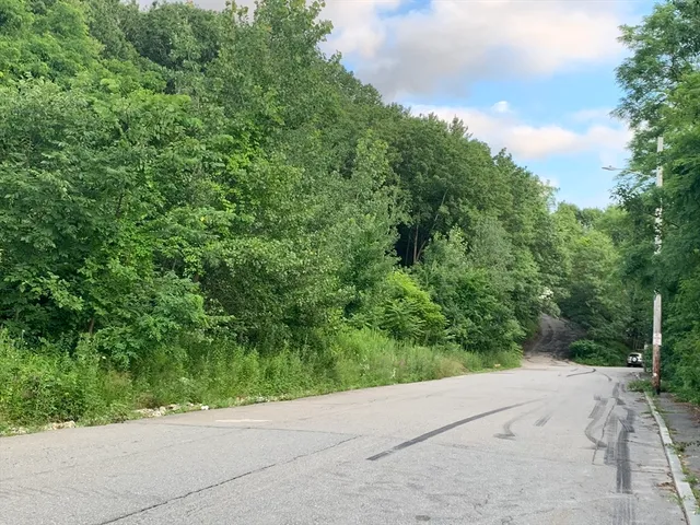 a view of a road with a yard