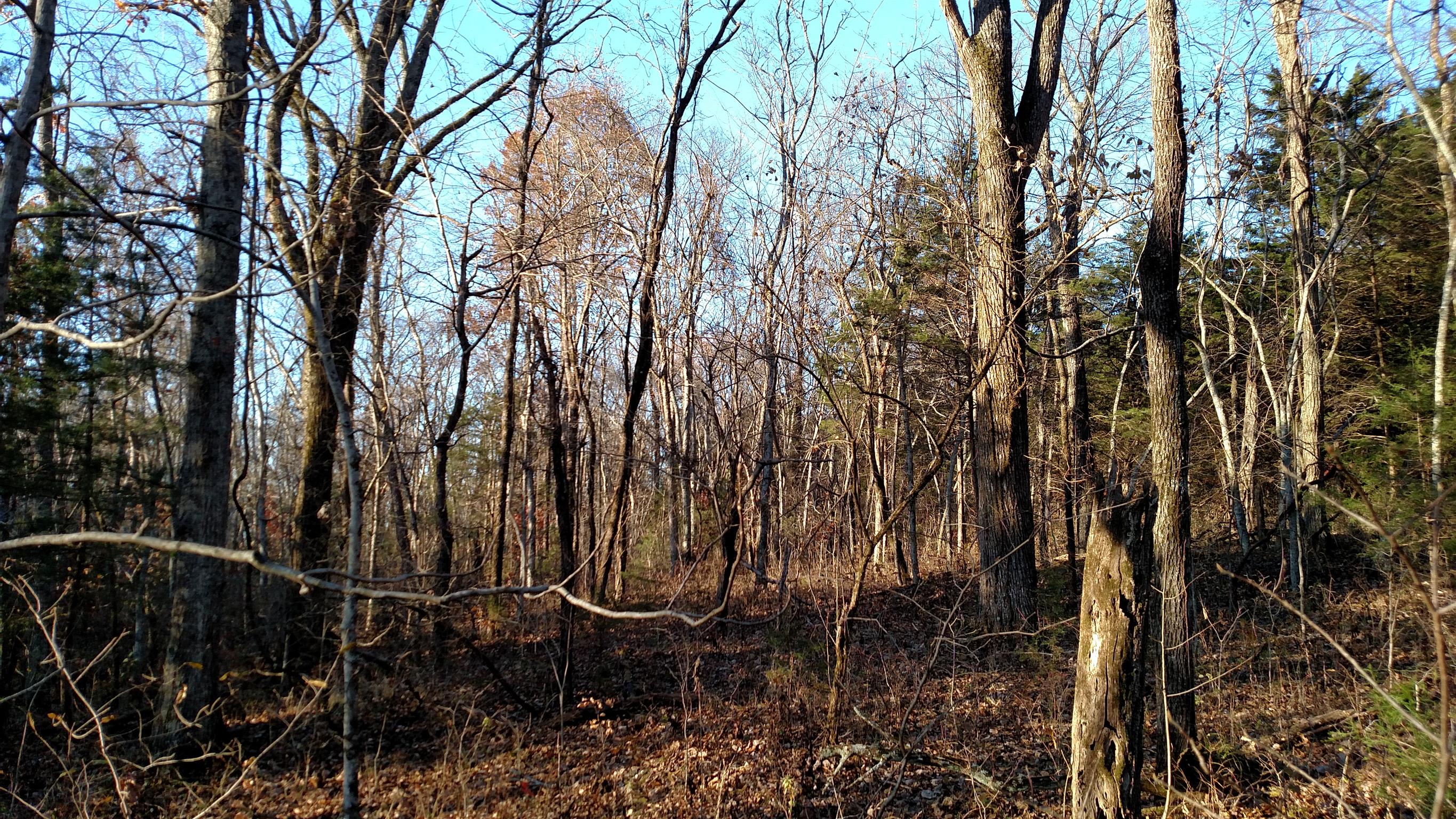 0 West New Hope Road Watertown, TN 37184 - Photo 2 of 4