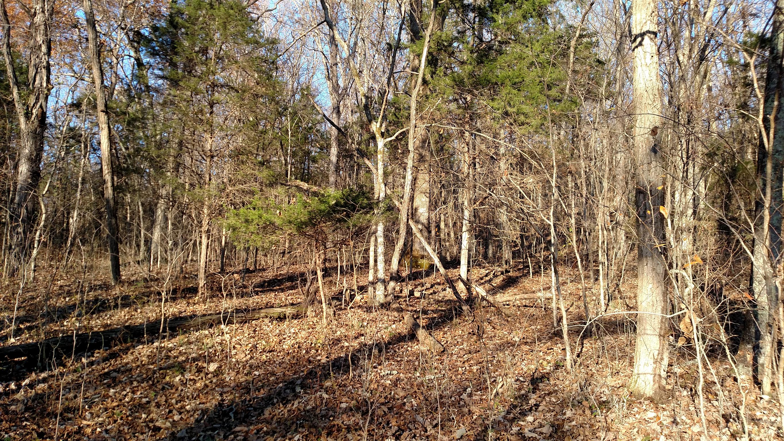 0 West New Hope Road Watertown, TN 37184 - Photo 3 of 4