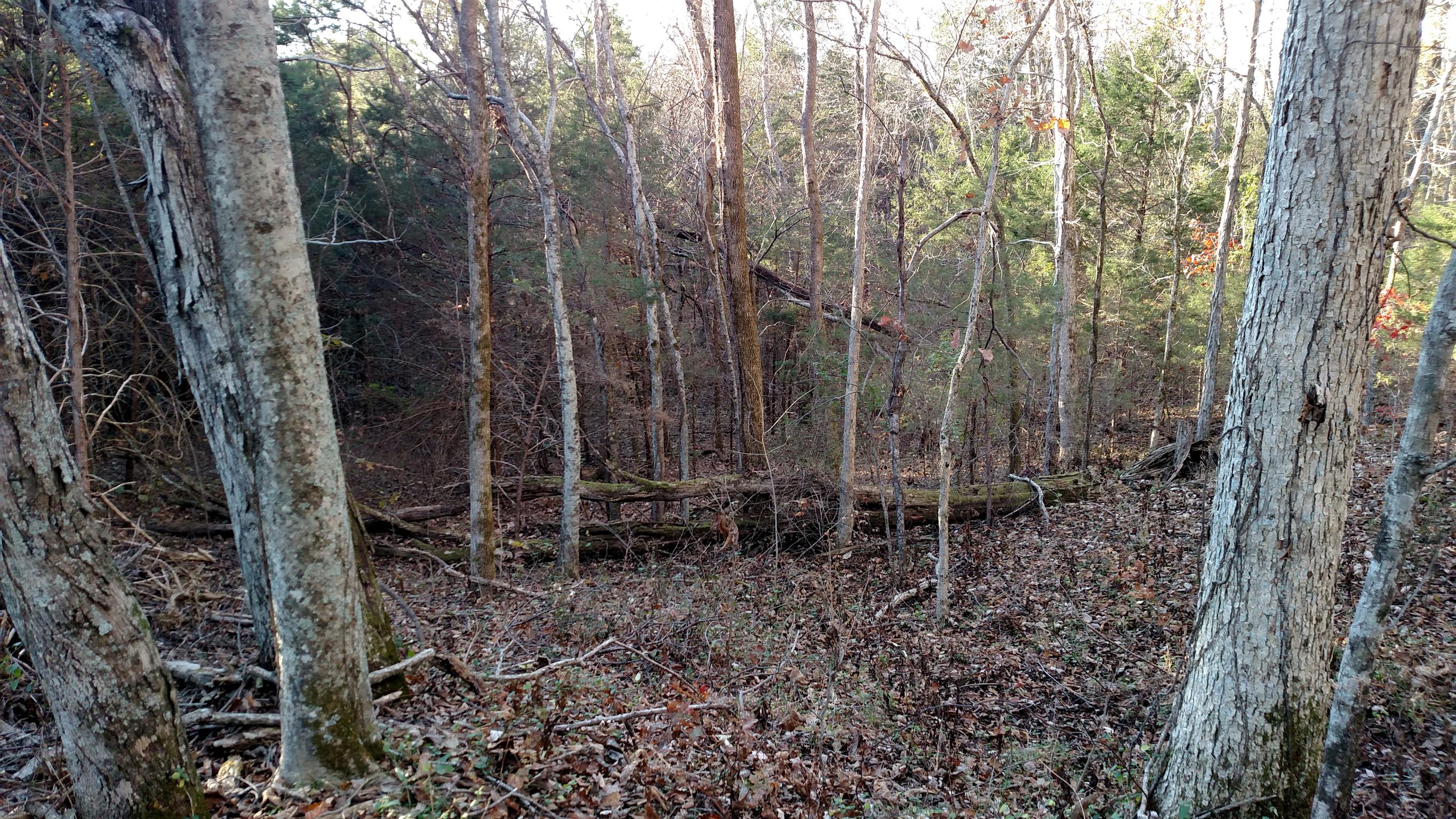 0 West New Hope Road Watertown, TN 37184 - Photo 4 of 4