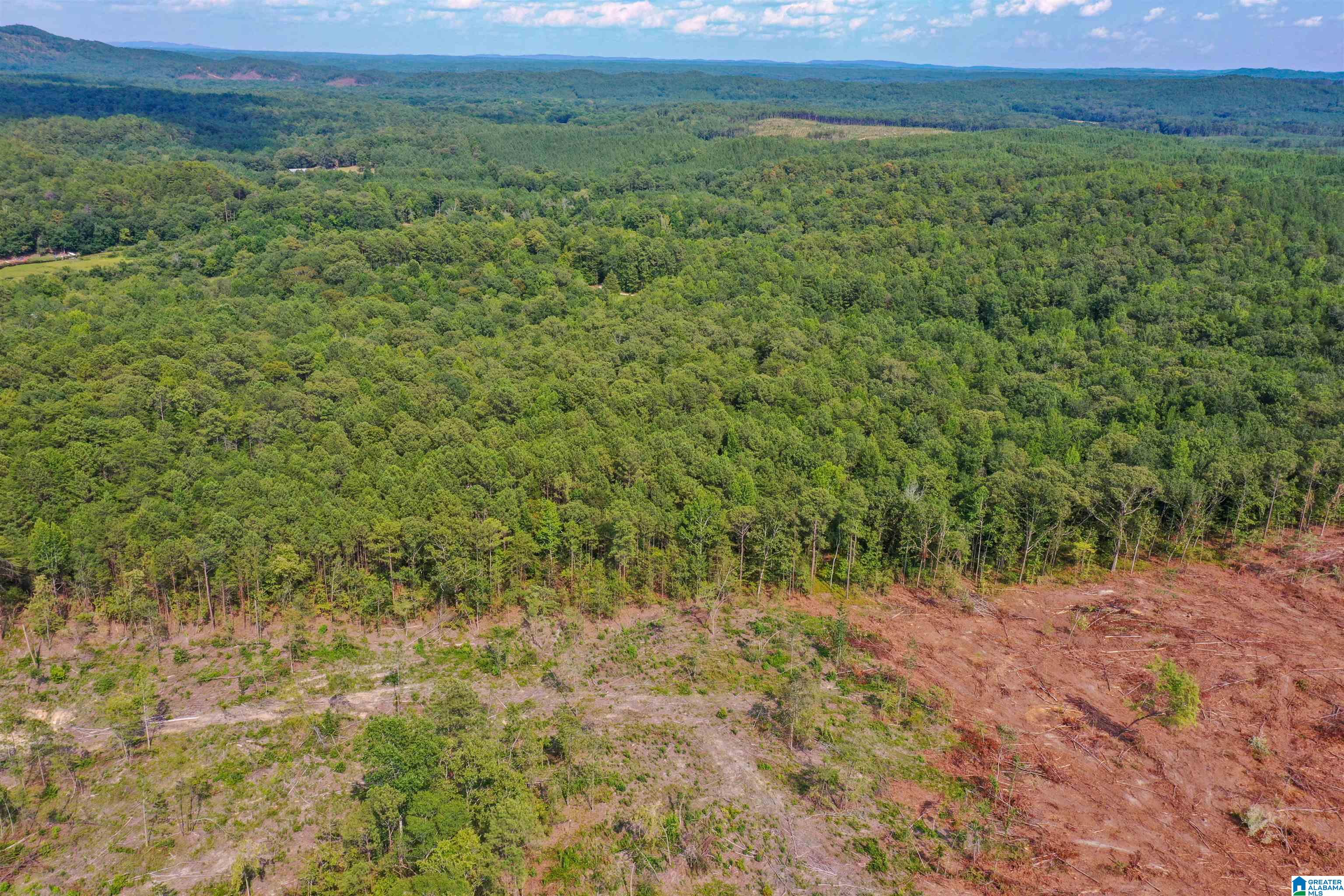 Oak Road Sylacauga, AL 35151 - Photo 4 of 9