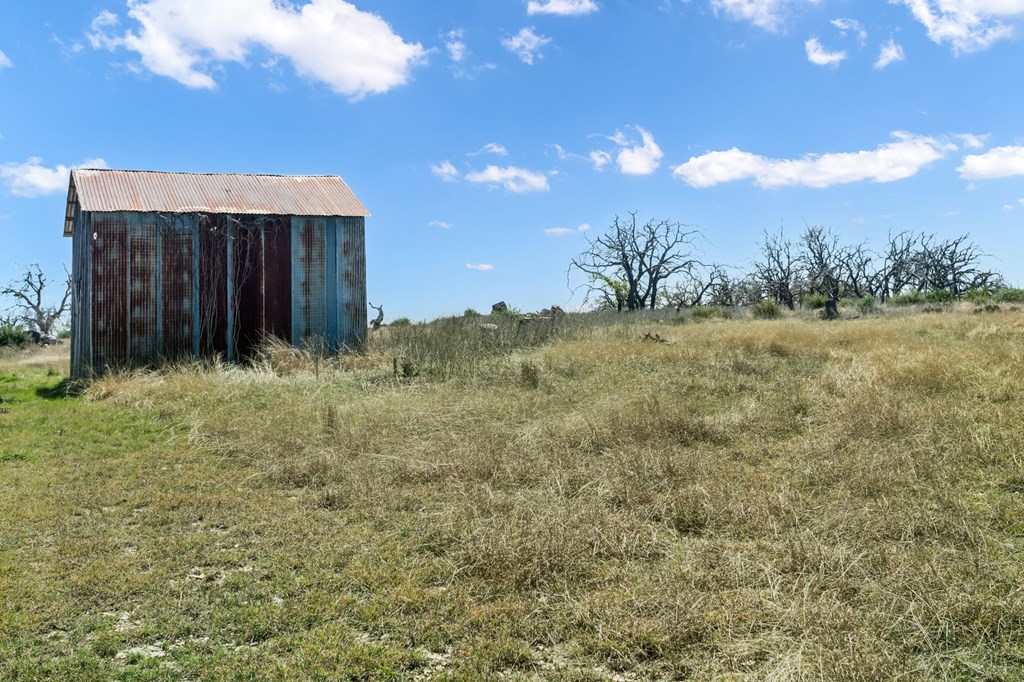 3527 Old Harper Road Fredericksburg, TX 78624 - Photo 33 of 43 a view of a yard with an tree and a wooden fence