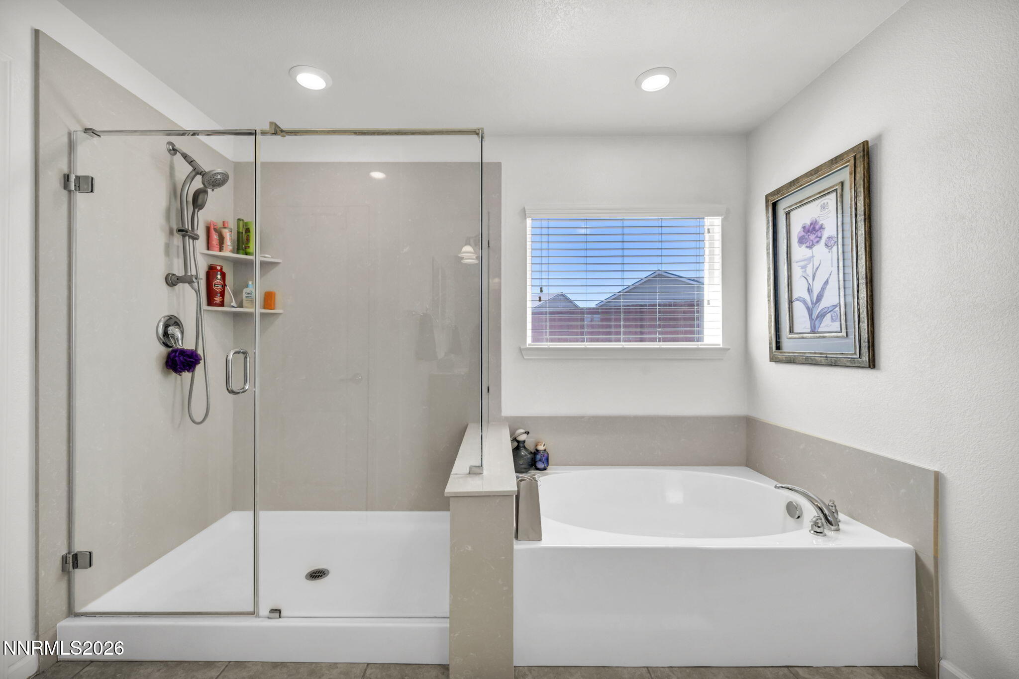 99 Rogue Road Dayton, NV 89403 - Photo 77 of 93 96-web-or-mls-99-rogue-rd