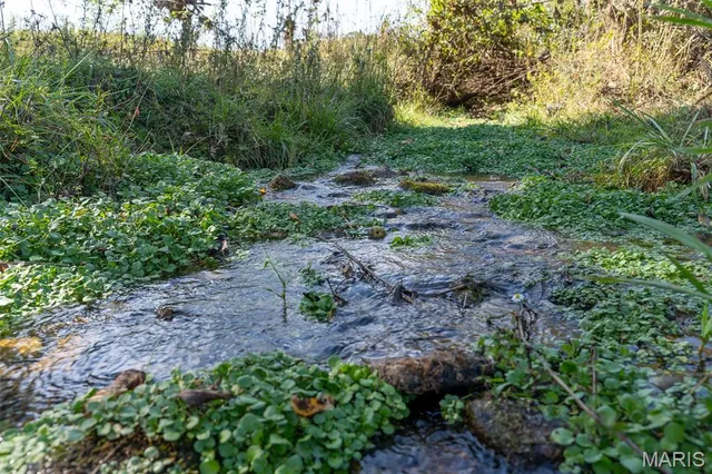 $4,500,000 | 4495 County Road 405, Alton, MO 65606