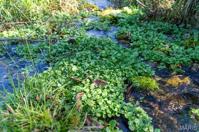 $4,500,000 | 4495 County Road 405, Alton, MO 65606