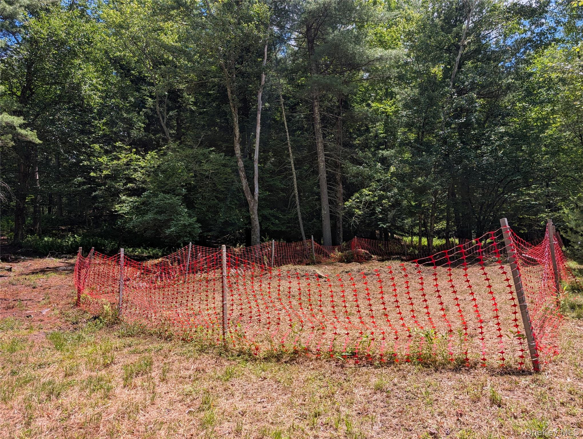 Ballard Road Bethel, NY 12720 - Photo 3 of 10 Possible septic location