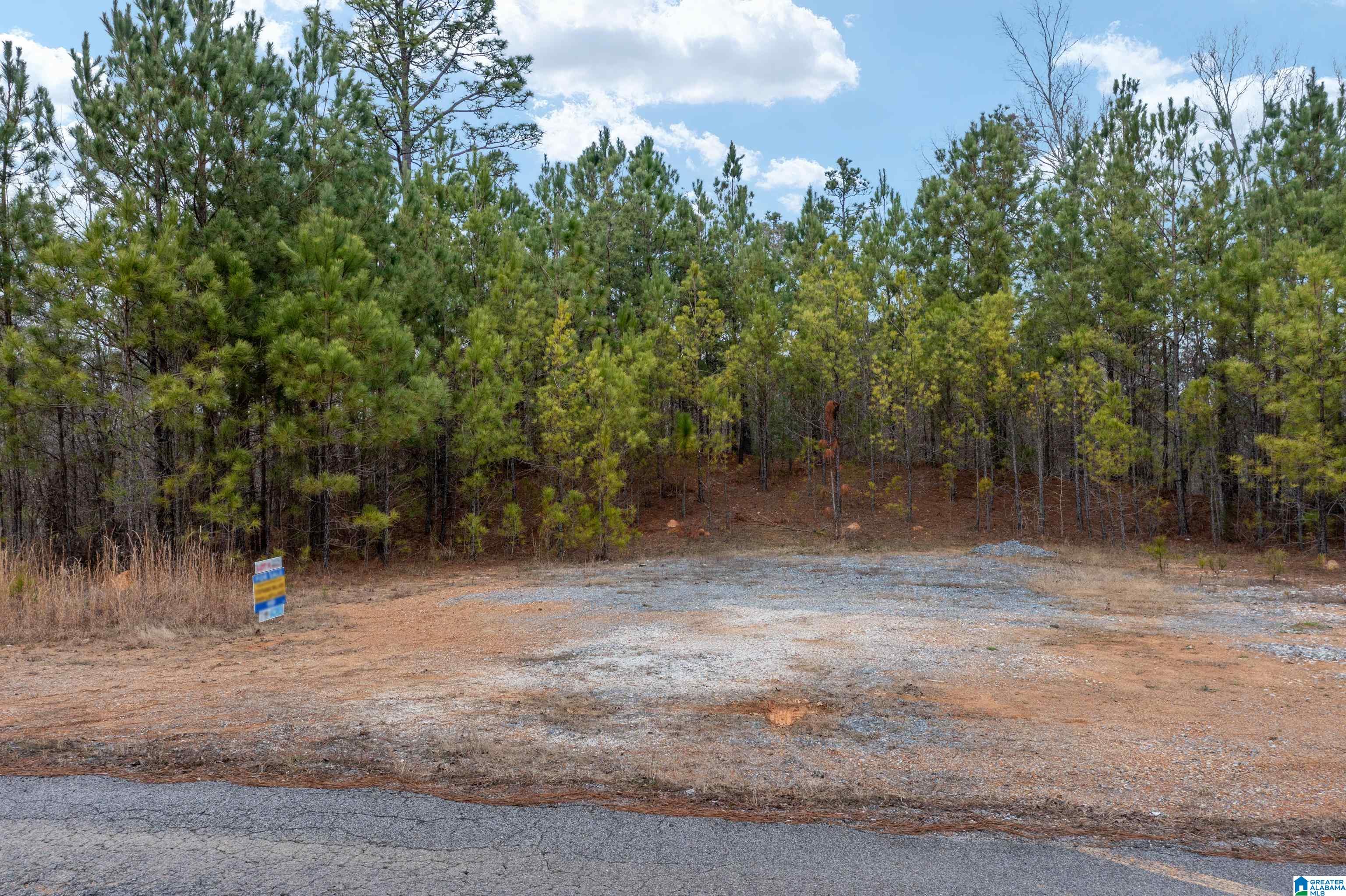 Shore Side Lane, Unit 213 Sylacauga, AL 35151 - Photo 3 of 11