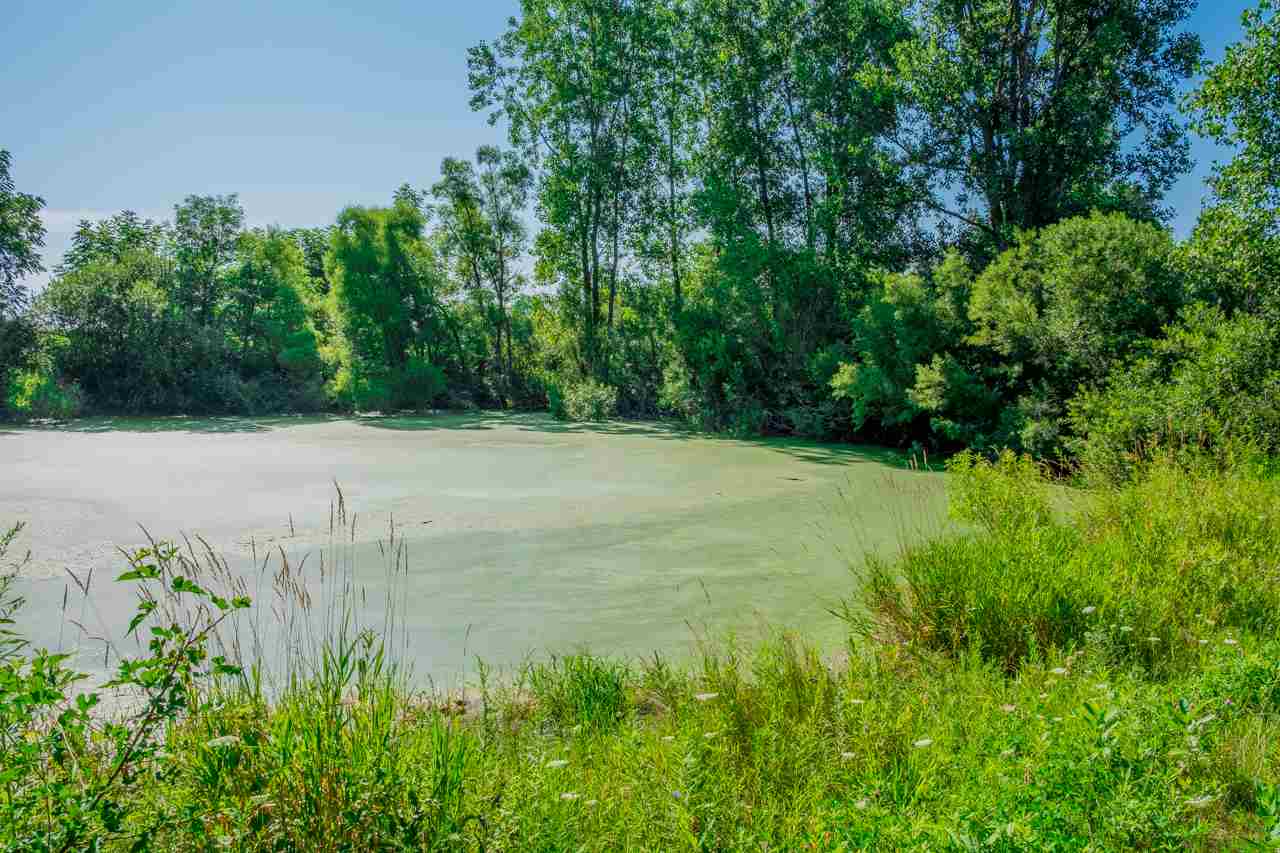 8892 South Alger Road Perrinton, MI 48871 - Photo 37 of 48 31390181-36.JPG