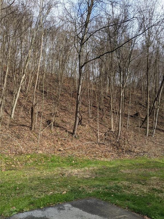 1609 Galilee Road Wampum, PA 16157 - Photo 5 of 25 Gallery Image 5