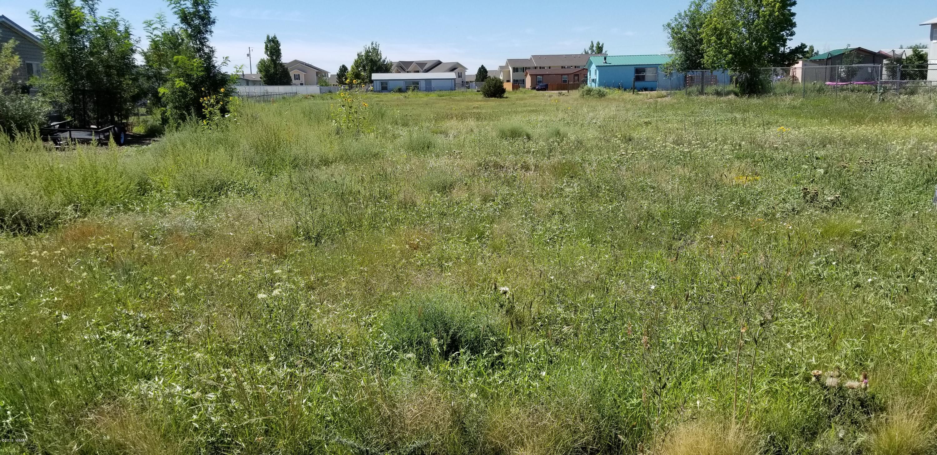 Lot 30 West Ranch Road Taylor, AZ 85939 - Photo 1 of 3