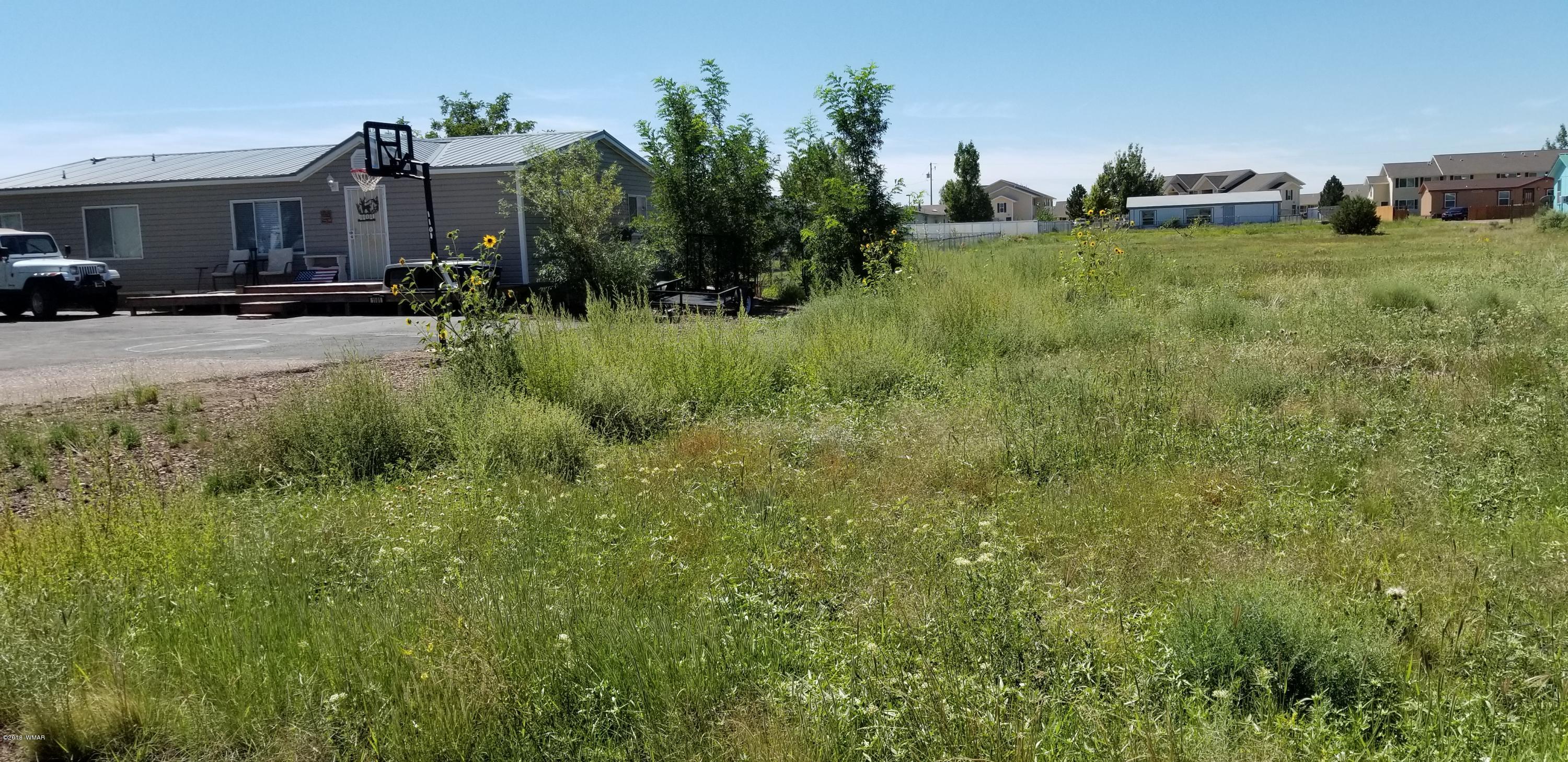 Lot 30 West Ranch Road Taylor, AZ 85939 - Photo 2 of 3