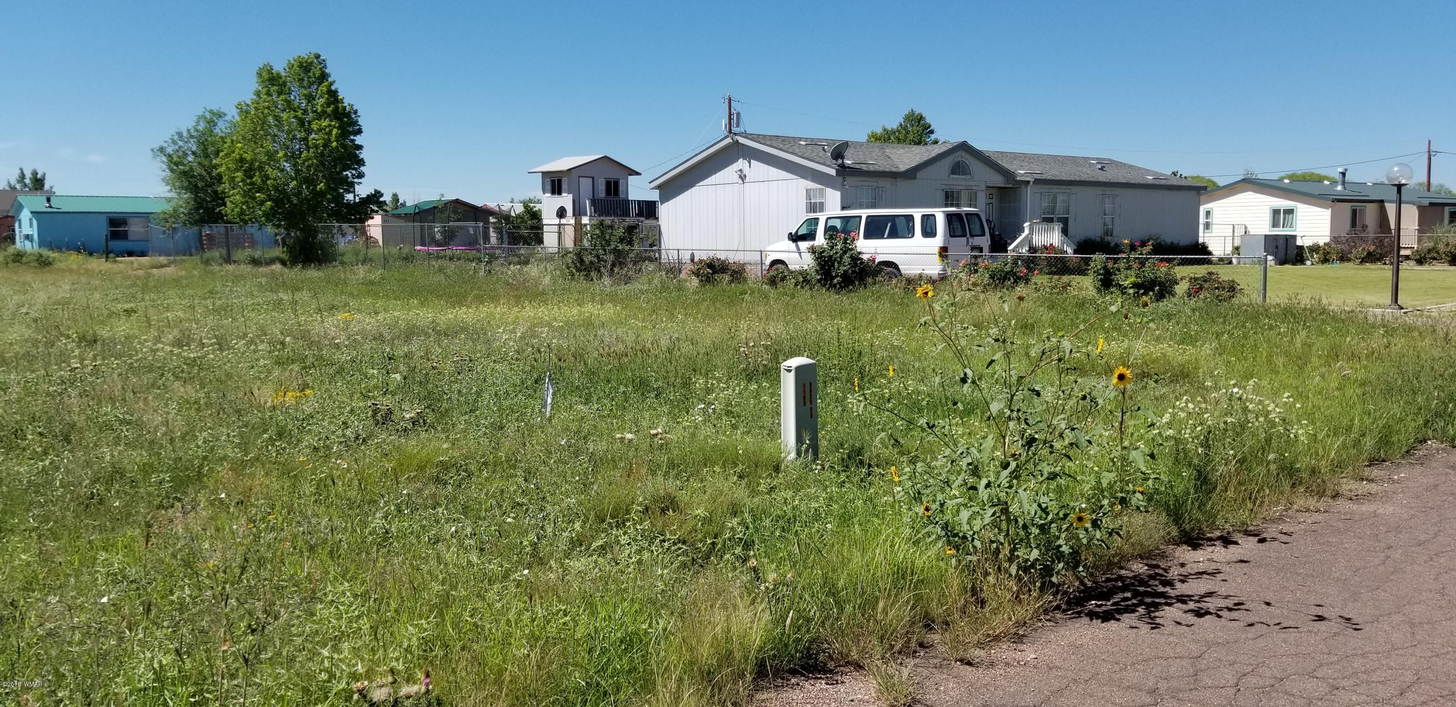 Lot 30 West Ranch Road Taylor, AZ 85939 - Photo 3 of 3