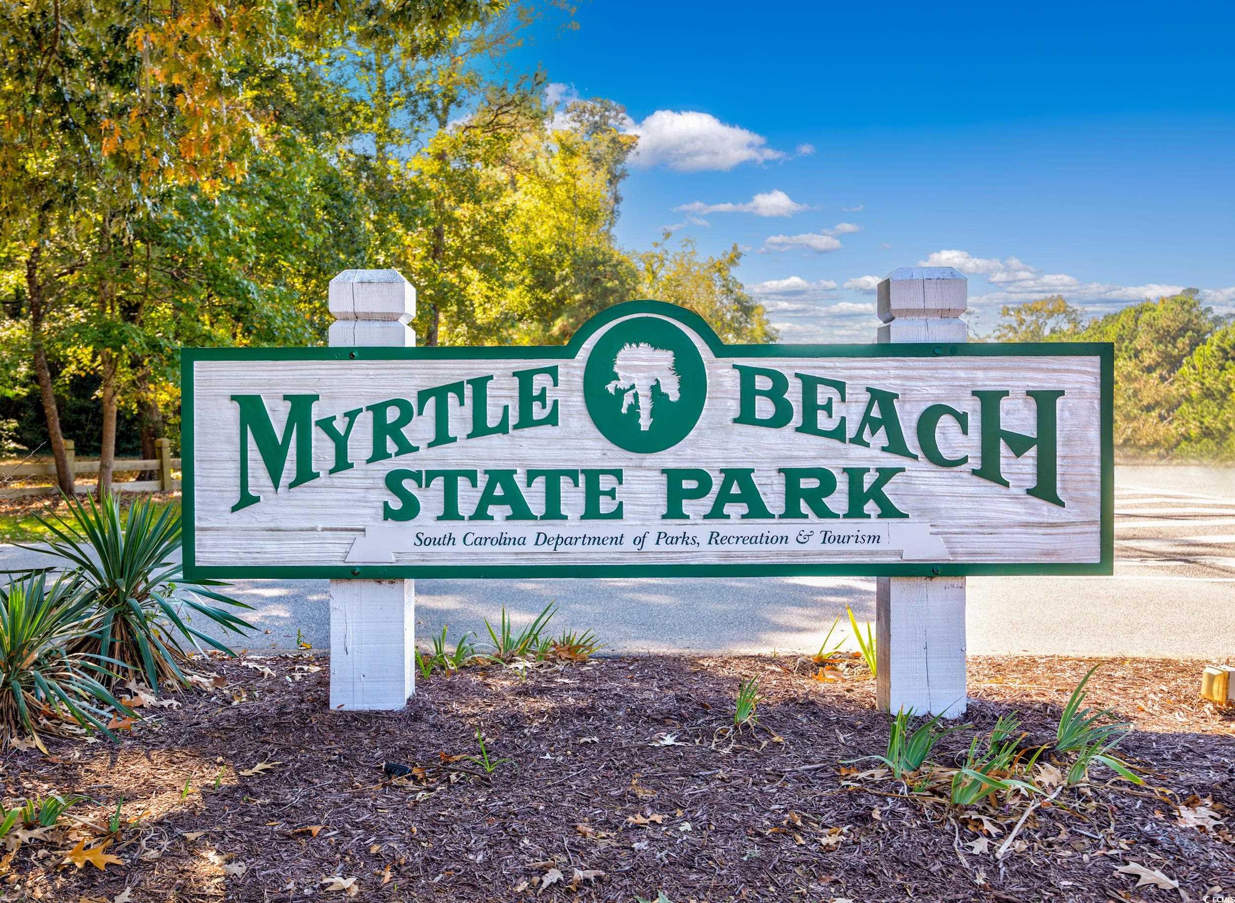 119 Neal Lane Myrtle Beach, SC 29588 - Photo 33 of 35