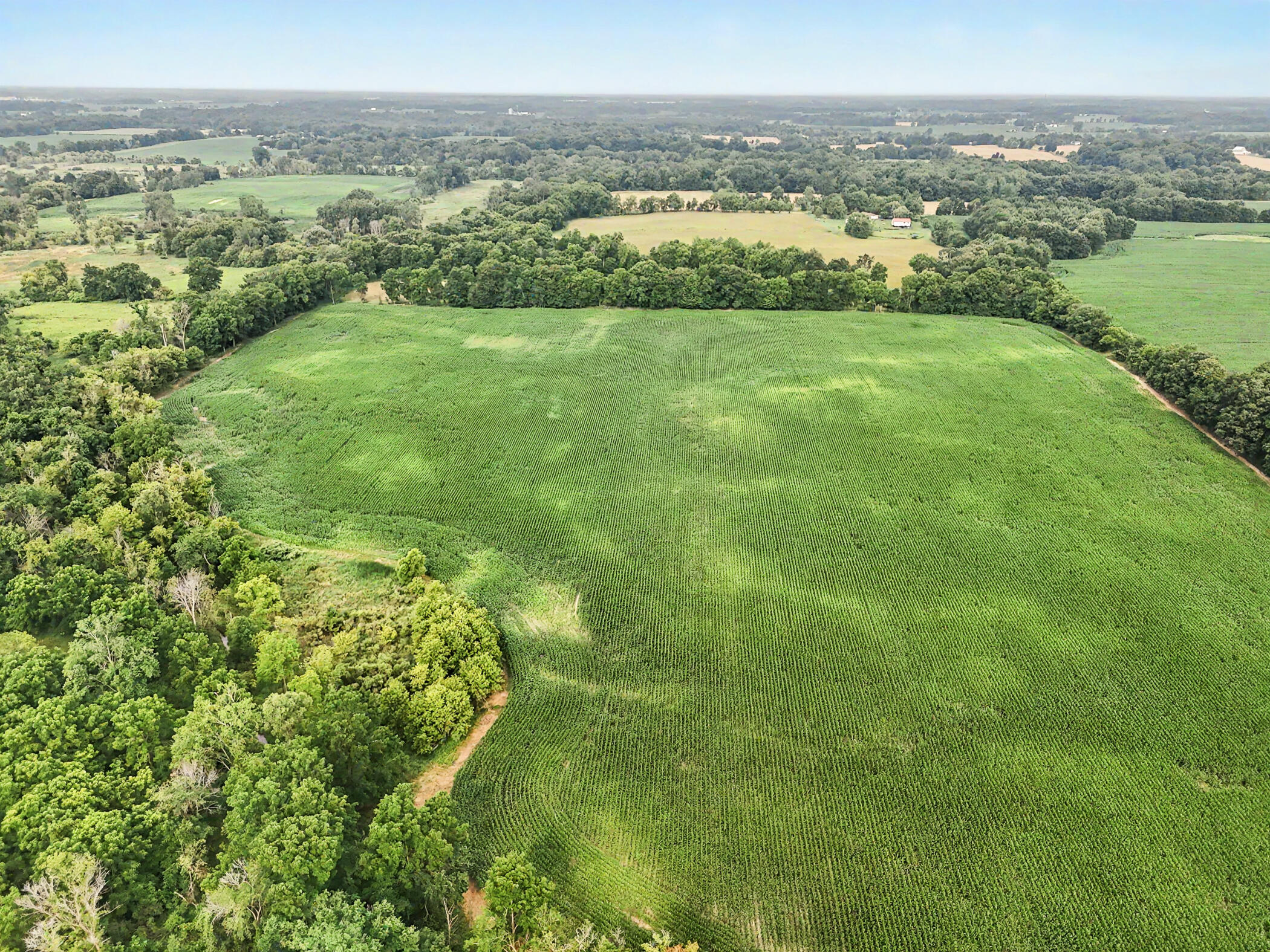 5647 South Royston Road Eaton Rapids, MI 48827 - Photo 14 of 26 14-print-drone9
