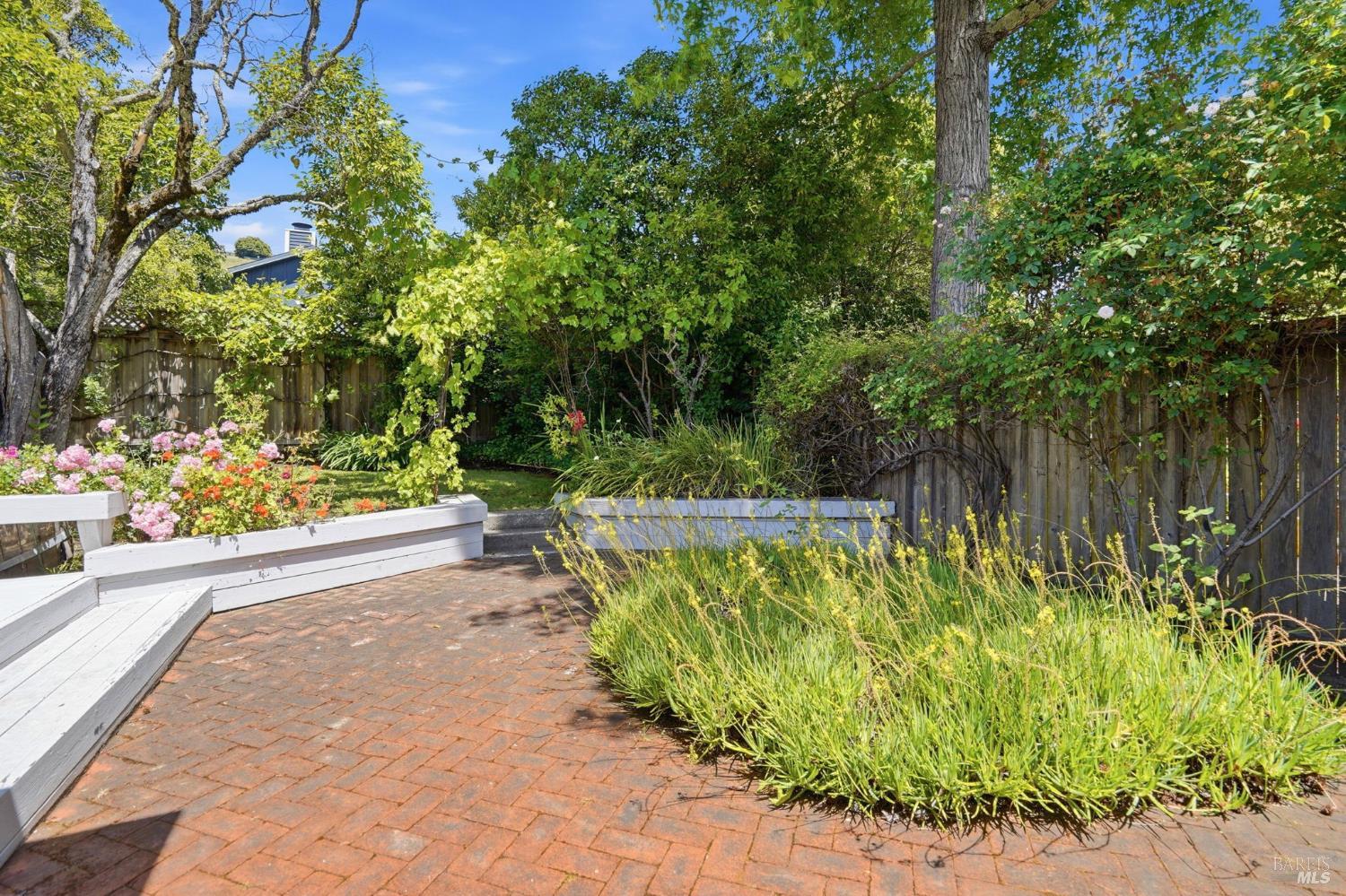 234 Solano Street San Rafael, CA 94901 - Photo 21 of 24 a view of a garden with plants
