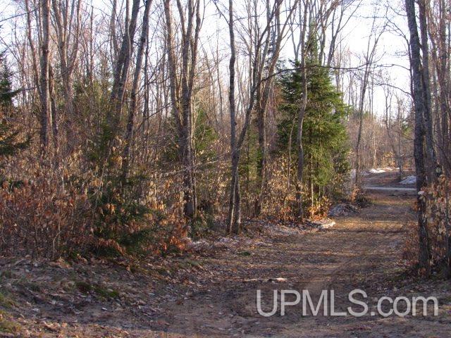 9936 N South Ross Lake Road Shingleton, MI 49884 - Photo 50 of 50