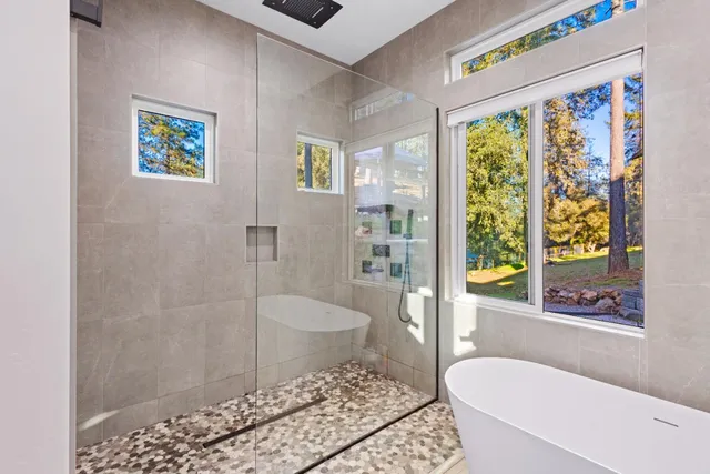 a view of a garden with large trees