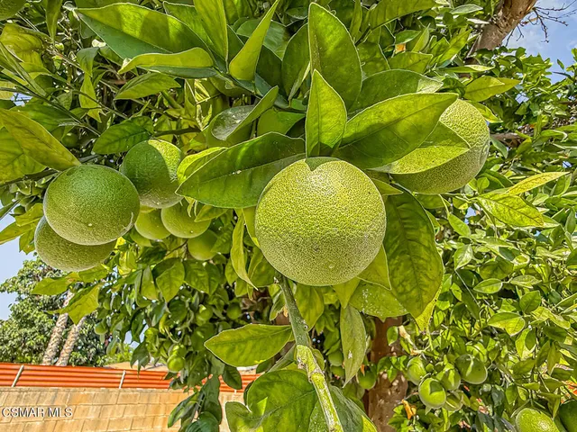 $1,249,000 | 7530 Gaviota Avenue, Lake Balboa, CA 91406