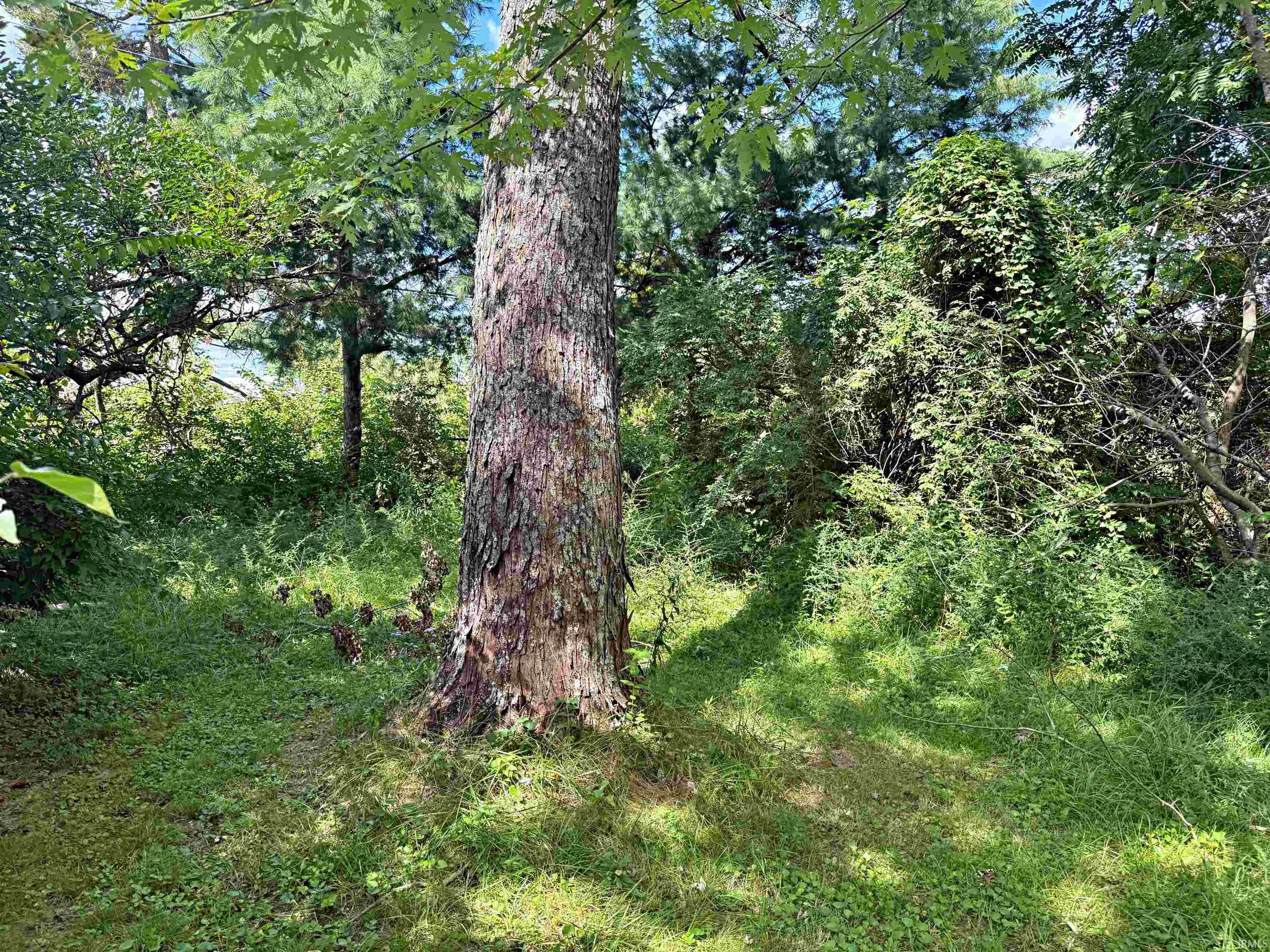 1559 Scenic Hill Road Loogootee, IN 47553 - Photo 6 of 7