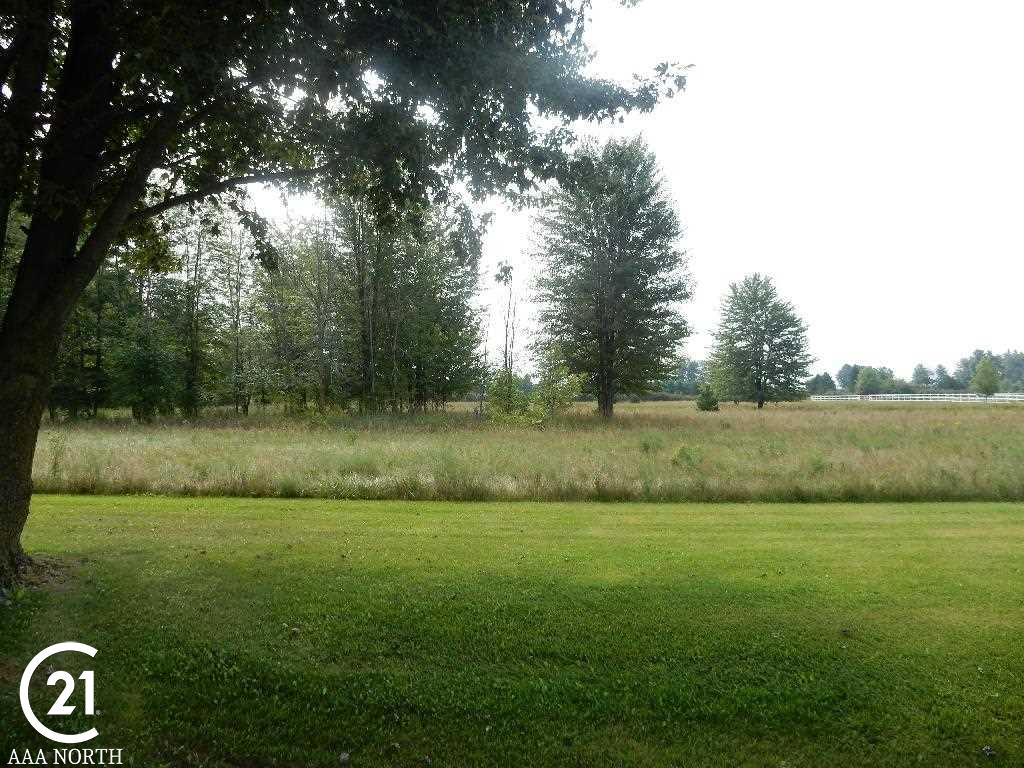 0 West Wellman Line Road Melvin, MI 48097 - Photo 3 of 7