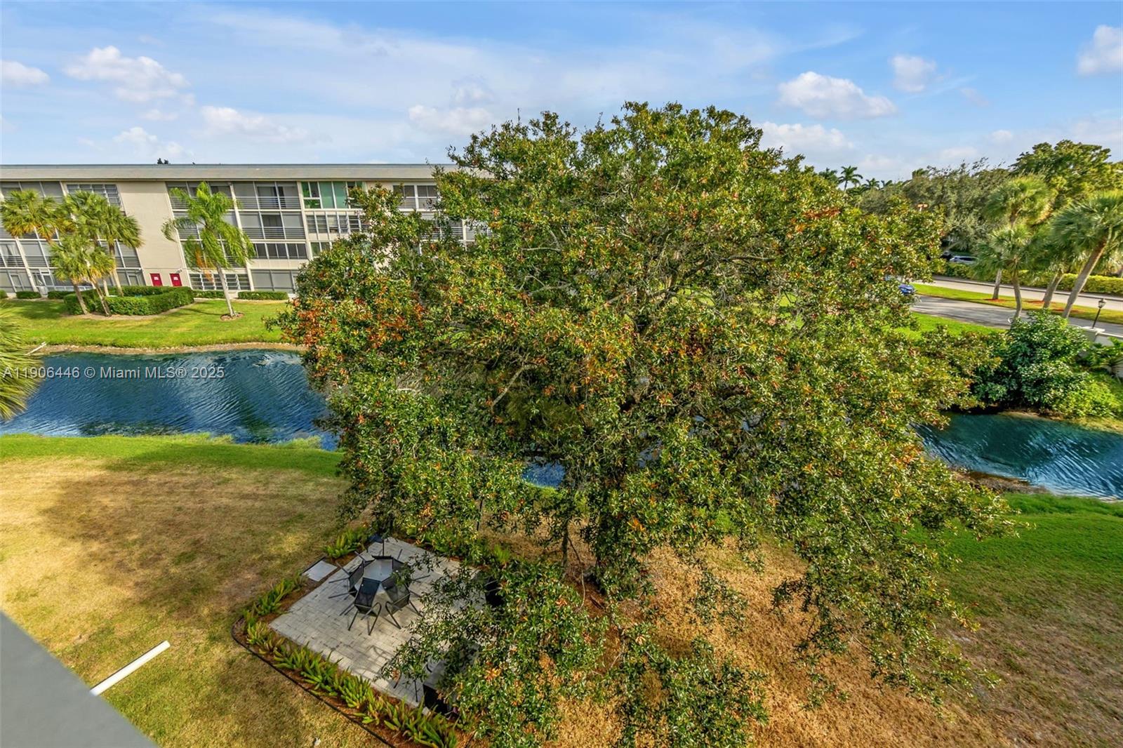 4401 Martinique Court, Unit C4 Coconut Creek, FL 33066 - Photo 4 of 26 a view of a big yard with plants and large trees