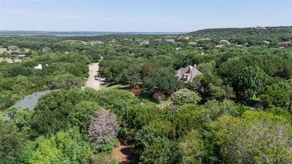 a view of a city with lush green forest