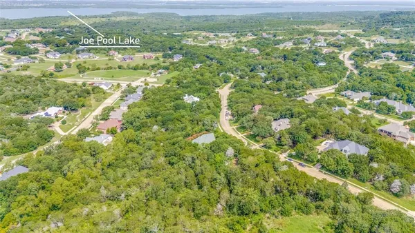 a view of a field with a tree