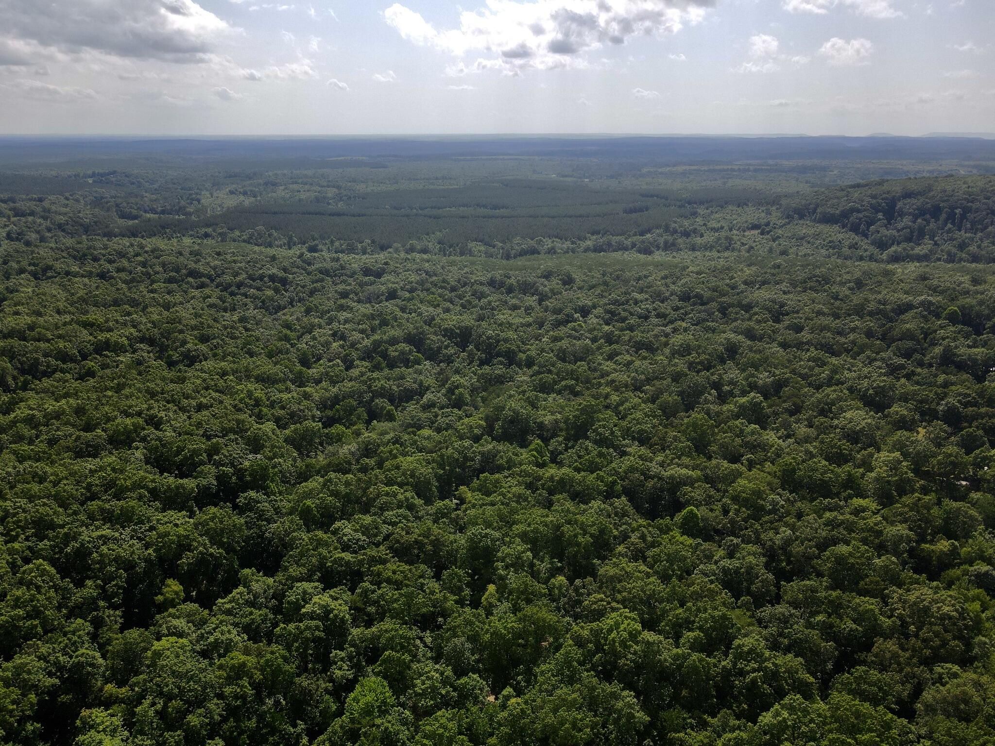 76.50 Black Mountain Road Dunlap, TN 37327 - Photo 12 of 36 ACAD7BAA-8FE8-4F33-A300-C4E7884009BA_1_1