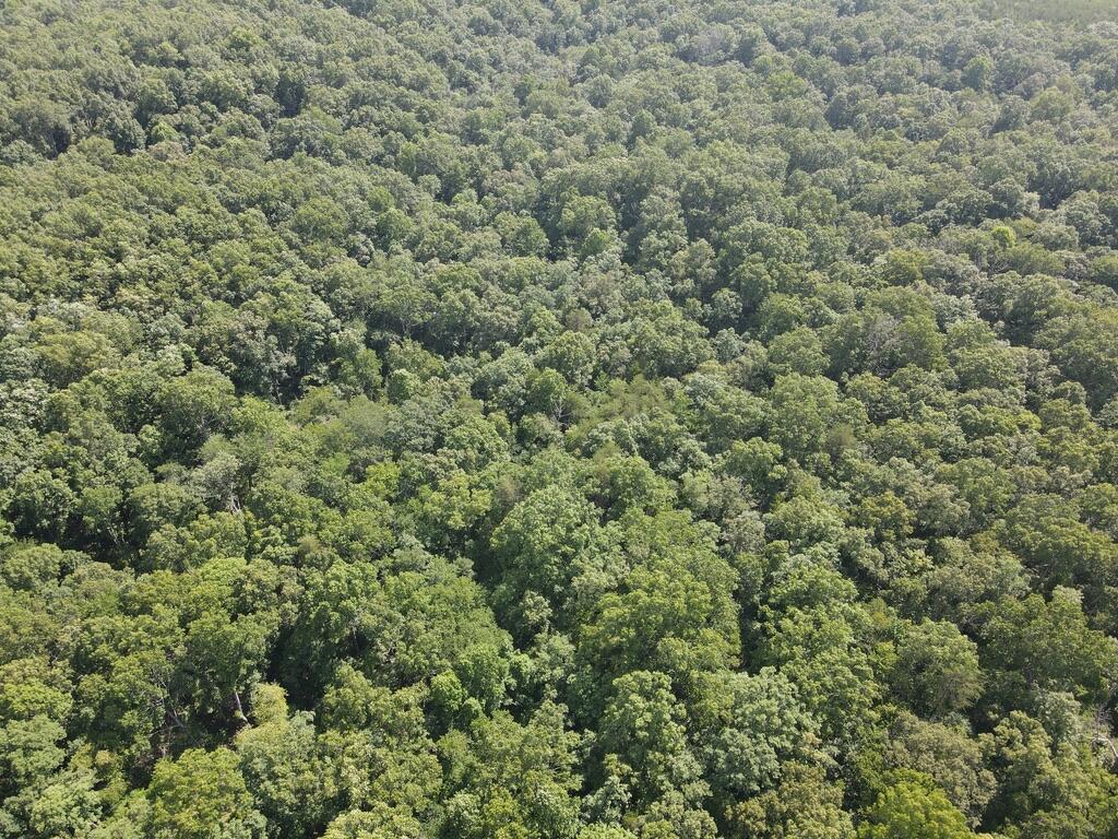 76.50 Black Mountain Road Dunlap, TN 37327 - Photo 15 of 36 8106284A-460E-4BA1-B54D-6257DC79CEE0_1_1