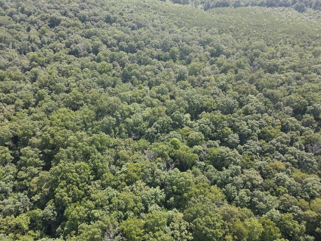 76.50 Black Mountain Road Dunlap, TN 37327 - Photo 16 of 36 5C2D449F-C949-4C8E-B408-95A2E026EFD9_1_1