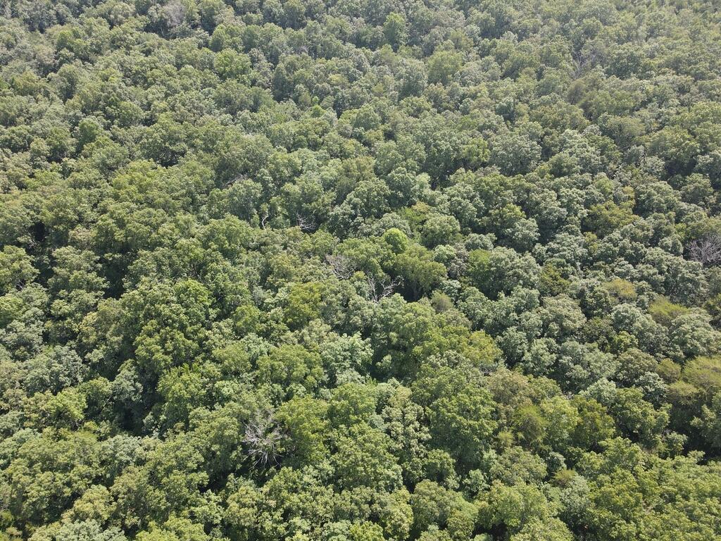 76.50 Black Mountain Road Dunlap, TN 37327 - Photo 17 of 36 6CF05BDB-1AE2-4C80-8B66-9CAC58DA4CED_1_1