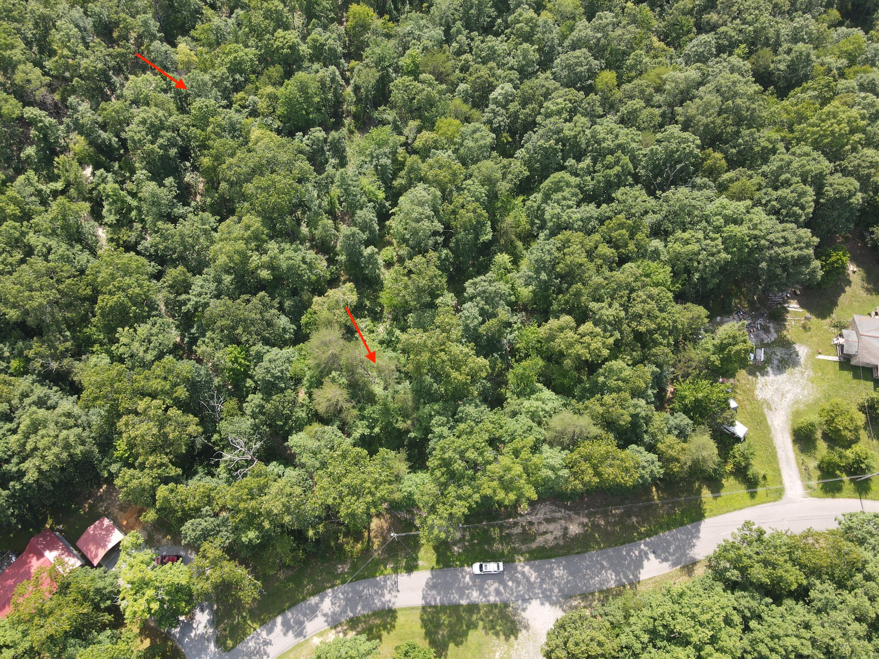 76.50 Black Mountain Road Dunlap, TN 37327 - Photo 19 of 36 7928B507-6E1E-41A3-B649-43D6C74191EA_1_2