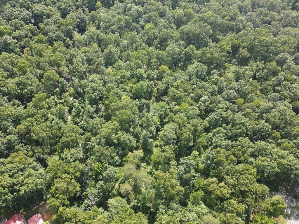 76.50 Black Mountain Road Dunlap, TN 37327 - Photo 20 of 36 56265147-A740-40B5-B8A3-F48529E06C7C_1_1