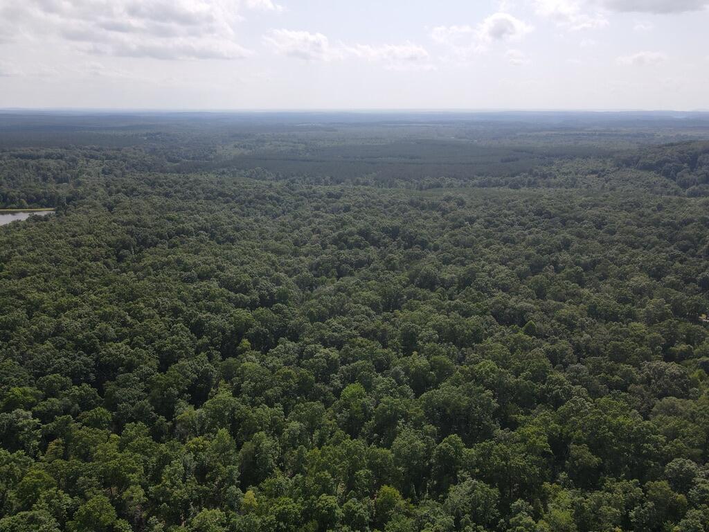 76.50 Black Mountain Road Dunlap, TN 37327 - Photo 21 of 36 C3DB98F9-851F-4CC6-9FDD-5A4DA2A74E21_1_1